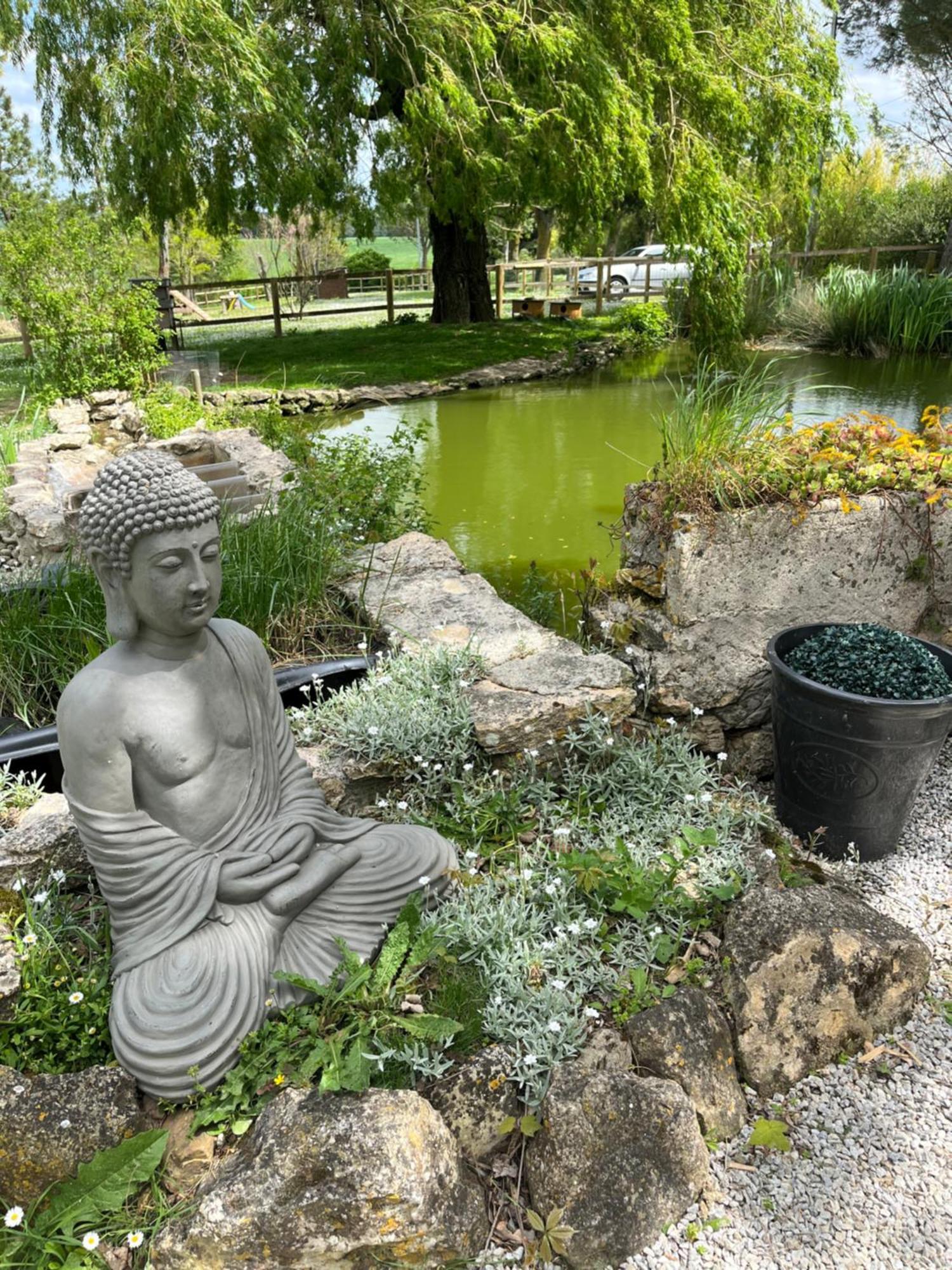 Villepinte Domaine Saladry别墅 外观 照片